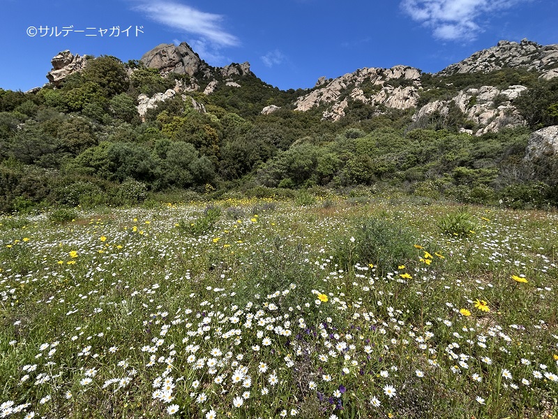 イタリア・サルデーニャ島ハイキング